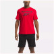 Reebok Ανδρική κοντομάνικη μπλούζα Identity Big Logo Tee